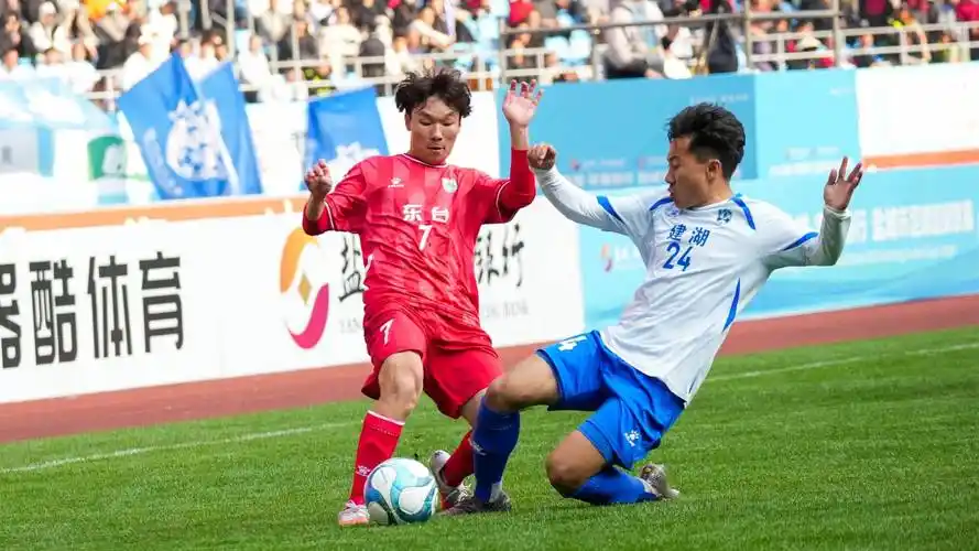 雨燕直播免费看